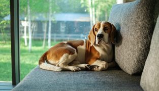 savelie-antipov--KbxR3TVQTQ-unsp